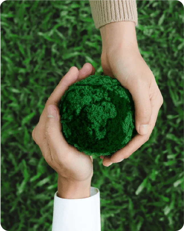Sustainability